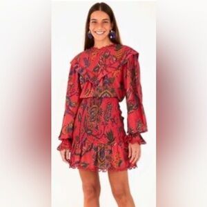 FARM Rio Sunset Tapestry Blush Mini in Red Smocked Cotton Dress size Large EUC